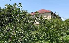 Villa Mance